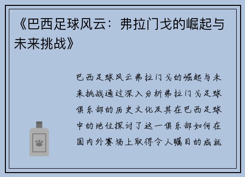 《巴西足球风云：弗拉门戈的崛起与未来挑战》