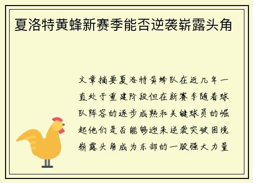 夏洛特黄蜂新赛季能否逆袭崭露头角